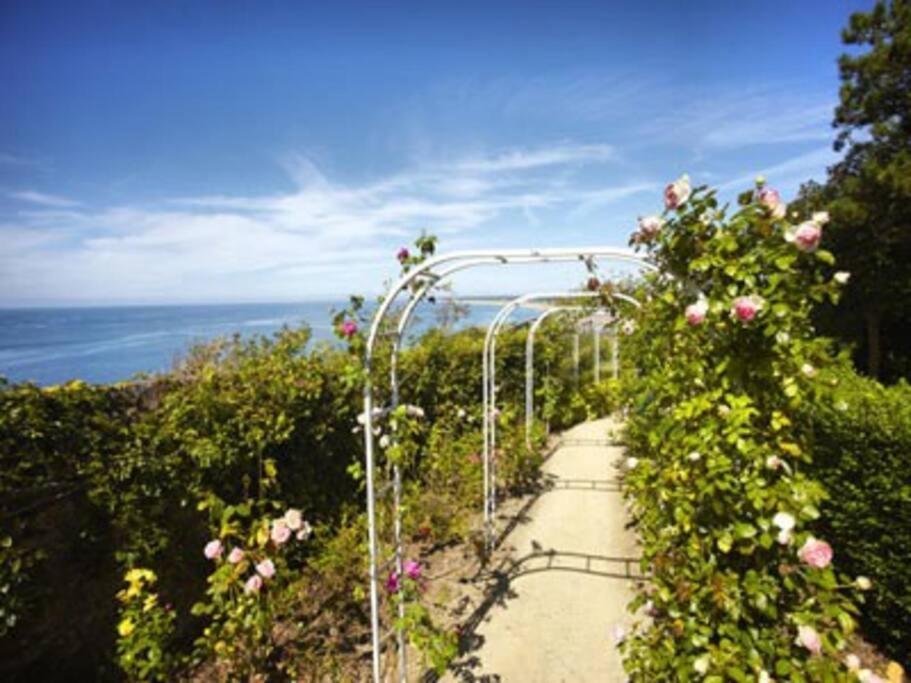Studio De La Mer A Donville Les Bains 外观 照片